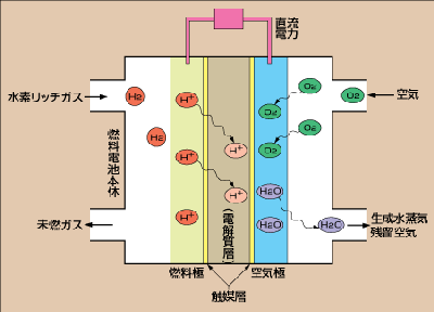 燃料电池原理图