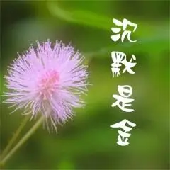 沉默是金