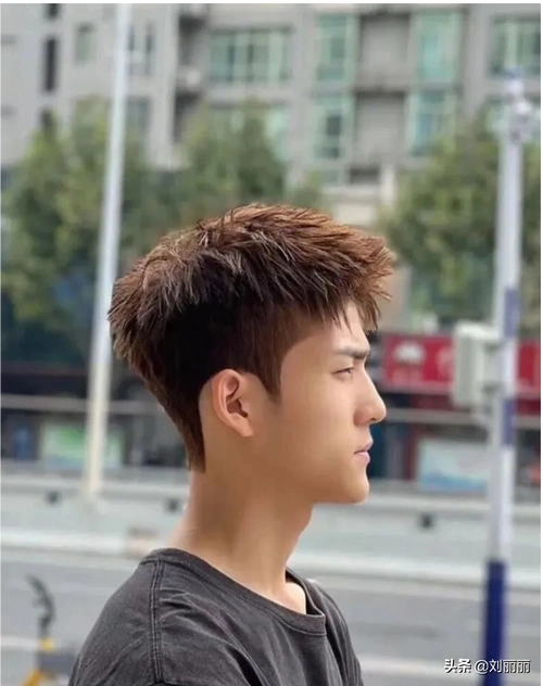 男士染发颜色大全(男士染发什么颜色好看)