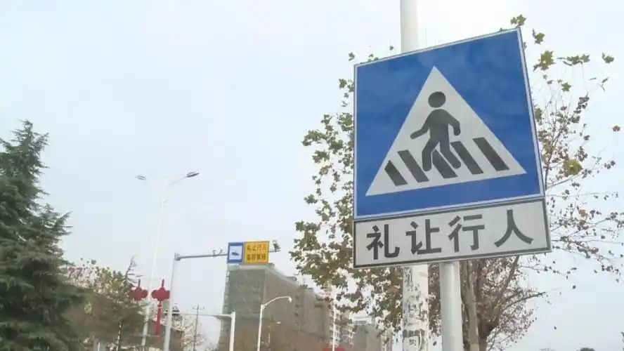 6处礼让行人电子抓拍