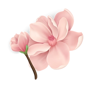 卡通的粉色花朵桃花素材