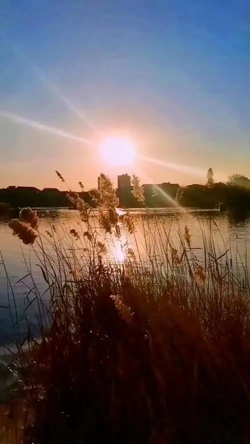 守一份清宁,在时光屋檐上静静留香.