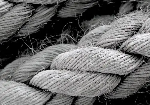 原来市场上常见的麻纤维有这些!你都知道吗?_手机搜狐网