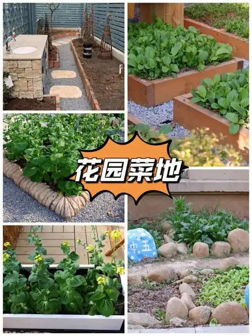 5种花园菜地样式过年可以回家种菜咯