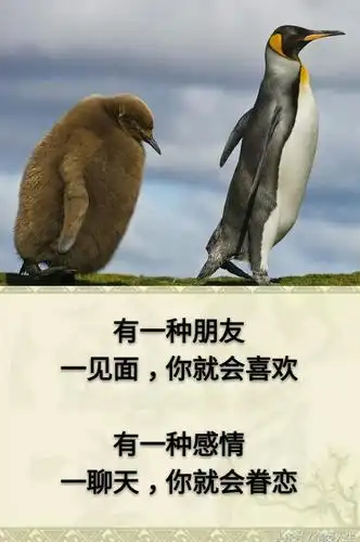 若,岁月不逝,我们不离;若,时光不老,我们不散!「致朋友」