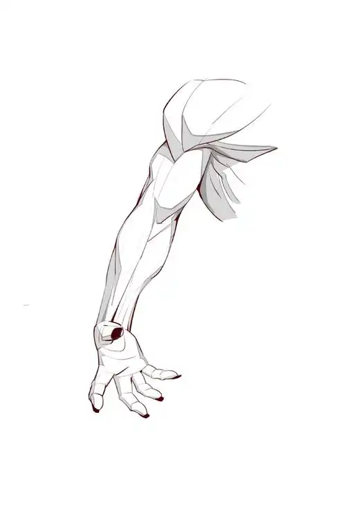 手臂肌肉结构怎么画?