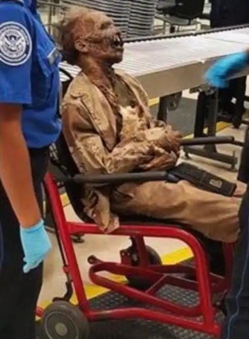 国际机场安检处迎来一名特殊的乘客:一具看上去高度腐烂的"尸体",将