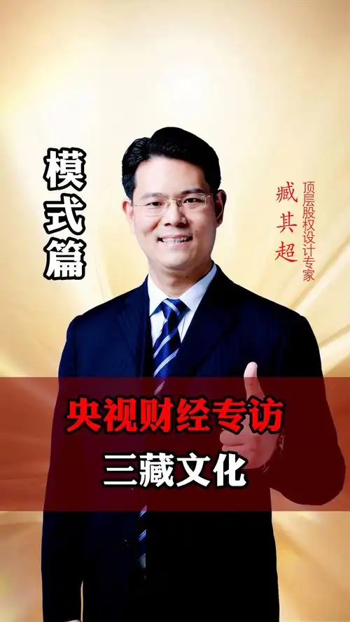 臧其超几年前受央视采访片段与主持董倩畅谈企业发展的愿景与个人授课