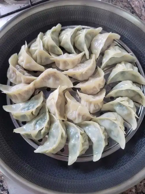 苏菲的世界做的蒸饺