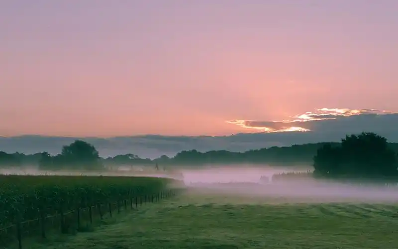 如梦如幻雾中美景经典图片合集高清电脑桌面壁纸下载第一辑