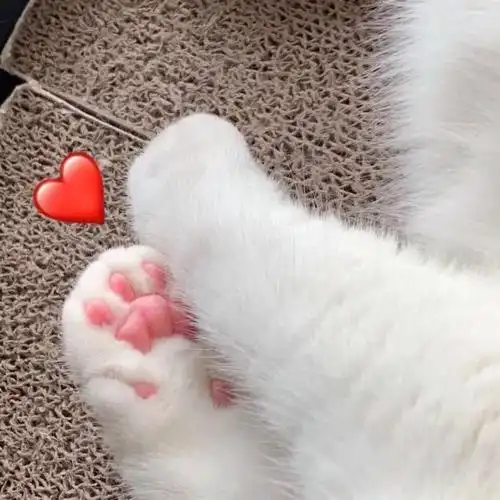 有没有可爱的比心表情包? - 知乎