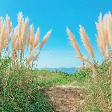 清新蓝色风景头像