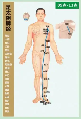 12经络循行图 任督二脉