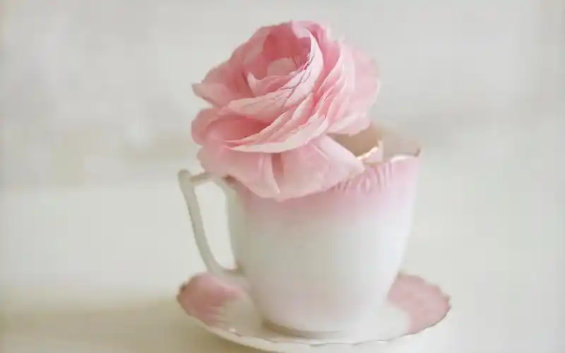 温暖治愈系唯美的杯子高清图片电脑桌面壁纸 第一辑