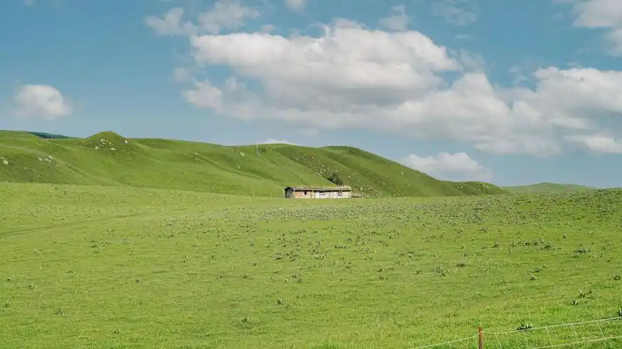 新疆琼库什台大草原