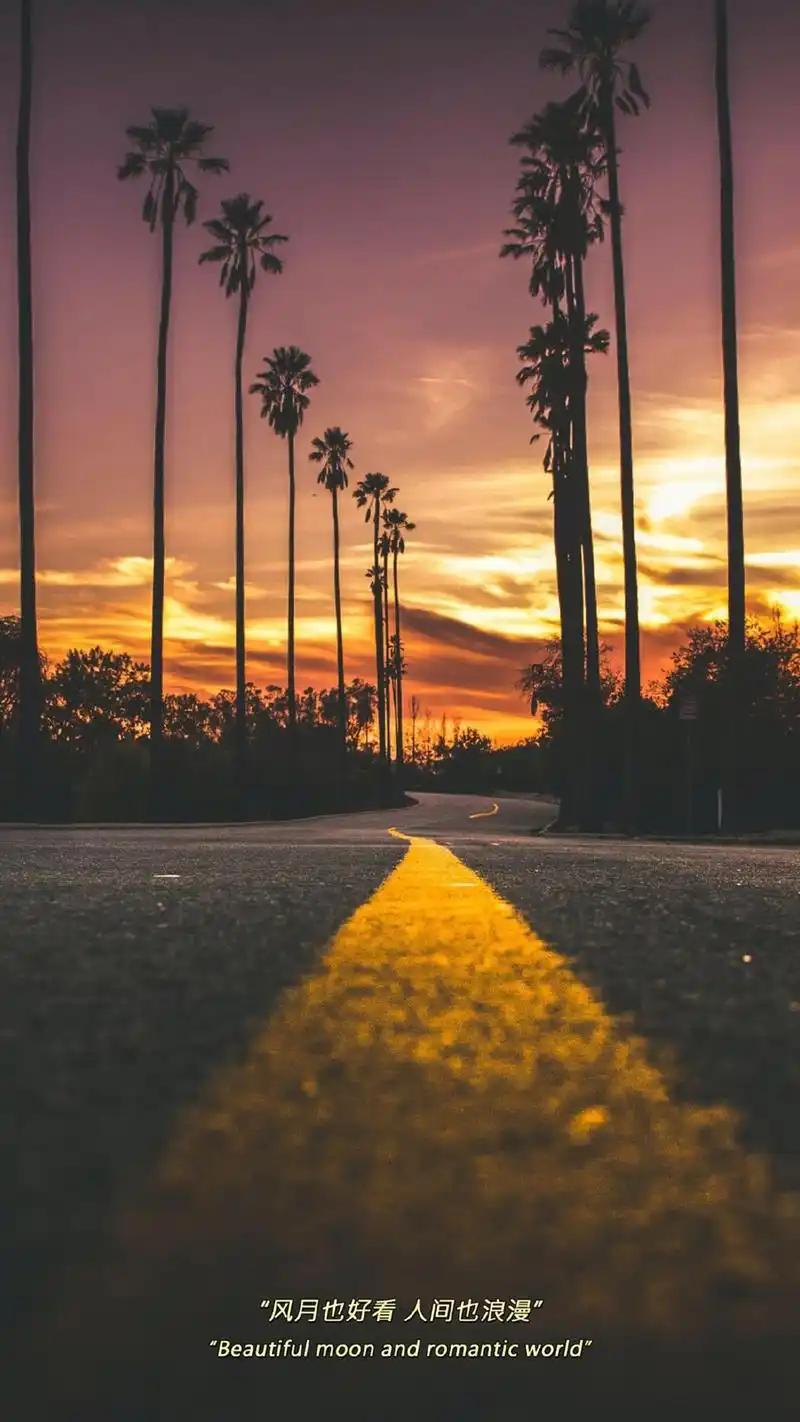 唯美意境情感文字语录手机壁纸