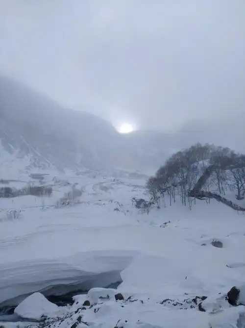 长白山~雪山飞狐
