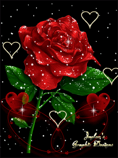 叶子玫瑰花漂亮搞笑gif动图_动态图_表情包下载_soogif