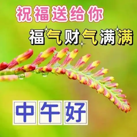 中午好图片大全午安表情包中午好祝福问候图片午安顺心