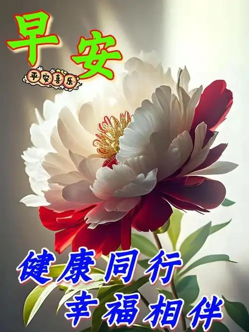 早安图片早上好唯美祝福图片