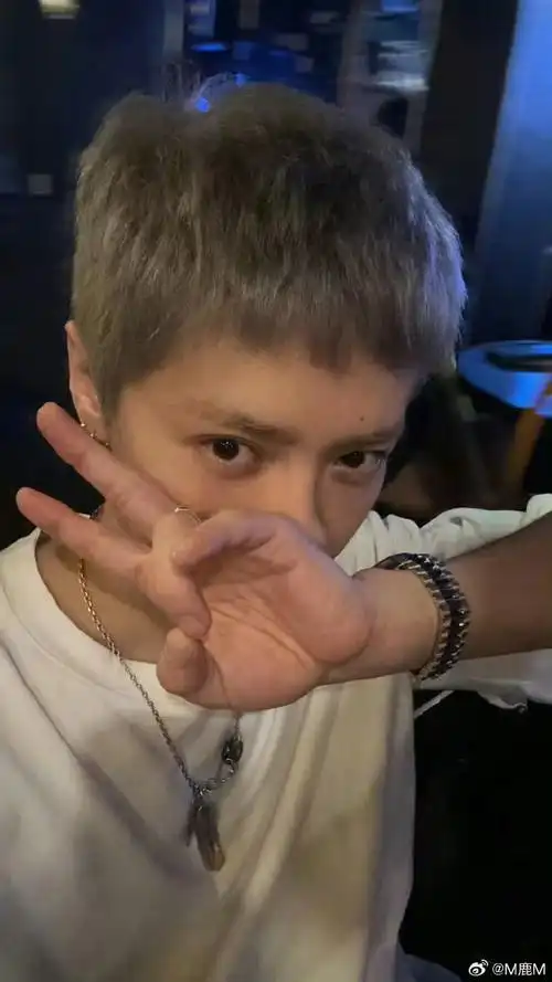 鹿晗狗啃式刘海