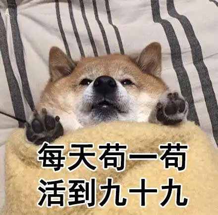 你太苟了做人就是要苟且偷生啦