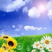 蓝天白云绿草微信头像_微信头像图片大全