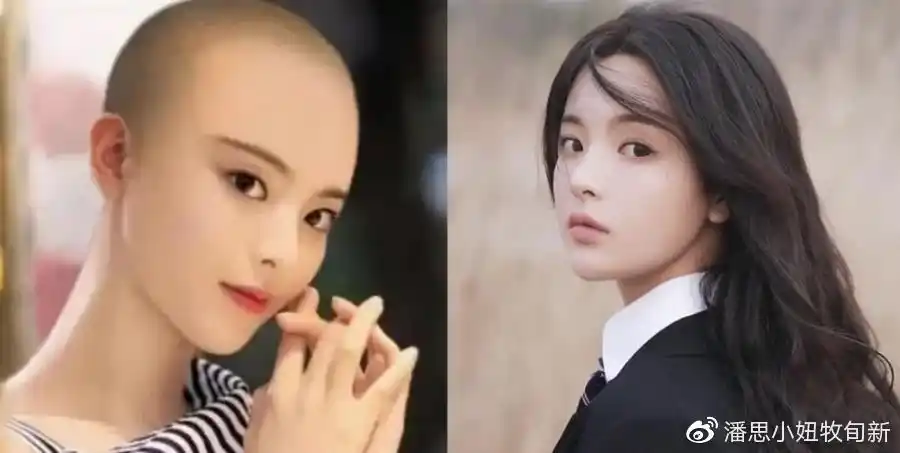 女星光头造型逃过了杨紫鞠婧祎看到郑爽已沦陷