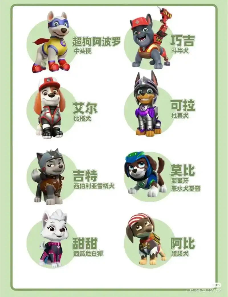 汪汪队10个成员介绍 - 抖音