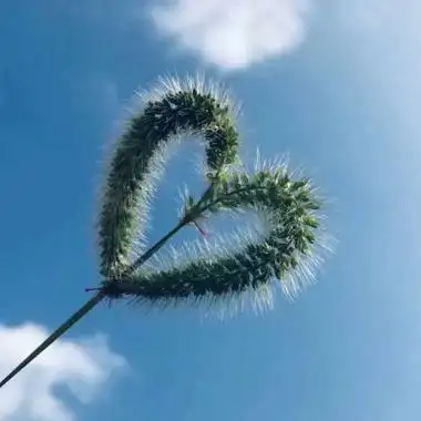 男人好运头像2020 好运吉祥微信男生头像图片 - 微信头像 - 潮人个性