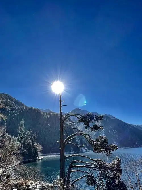 1080_1439竖版 竖屏