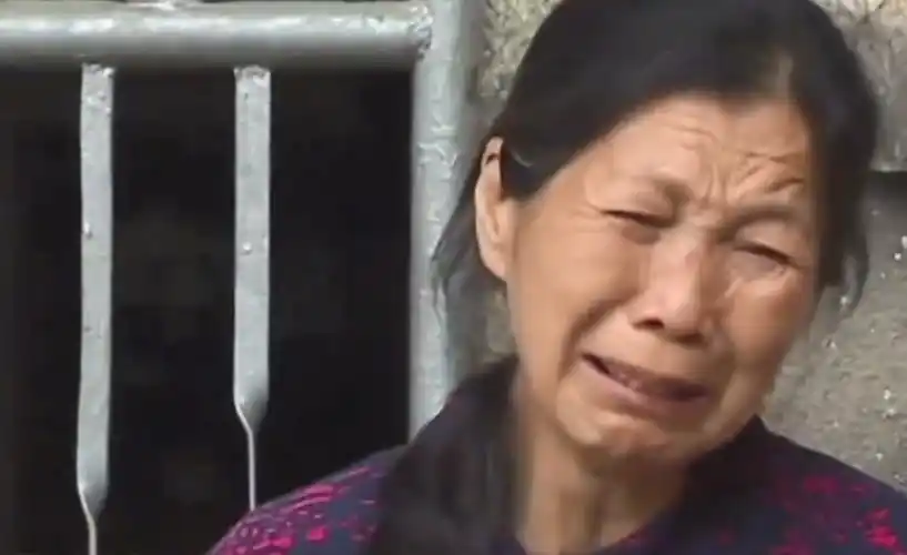 赵廷远的大女儿赵薇和小儿子平安由奶奶和小叔抚养,大儿子则交由外公