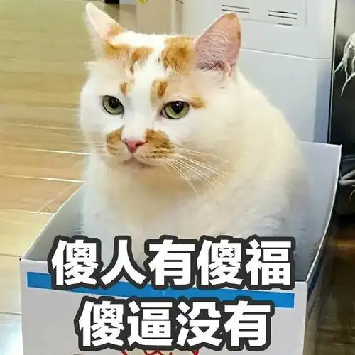 表情包无水印##搞笑表情包