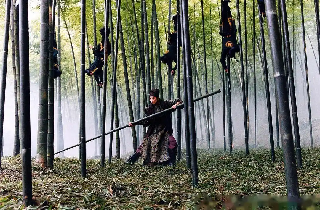 取景于永川区茶山竹海景区的《十面埋伏》,包含洪崖洞和十八梯的《从