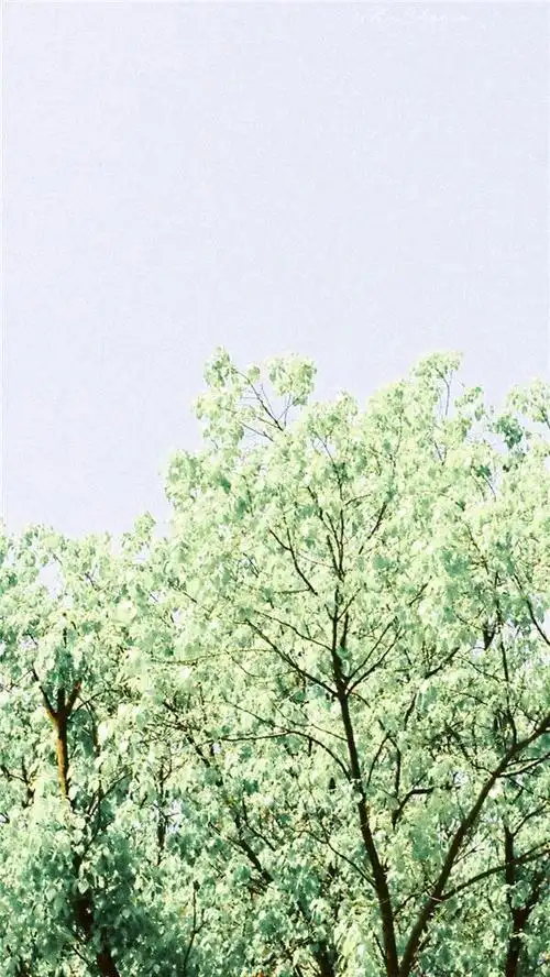 小清新唯美意境?手机壁纸图片