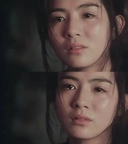 杨采妮_吴奇隆_王家卫