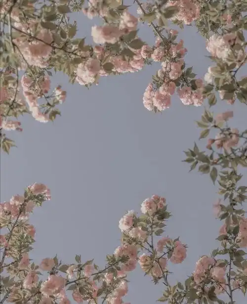 治愈系背景图,给烦躁的心放个假