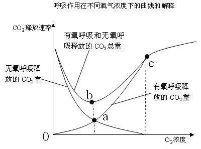 (水果贮藏在完全无氧的环境中,可将损失减少的最低程度.