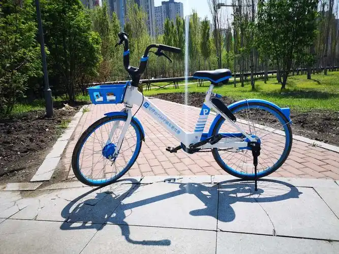 《哈啰》共享单车一一哈市靓丽的风景线!