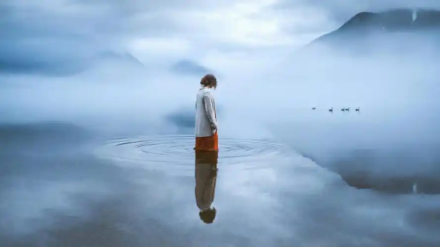 平静如水淡定文雅