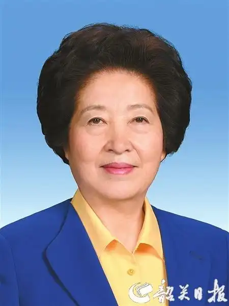 决定国务院其他组成人员