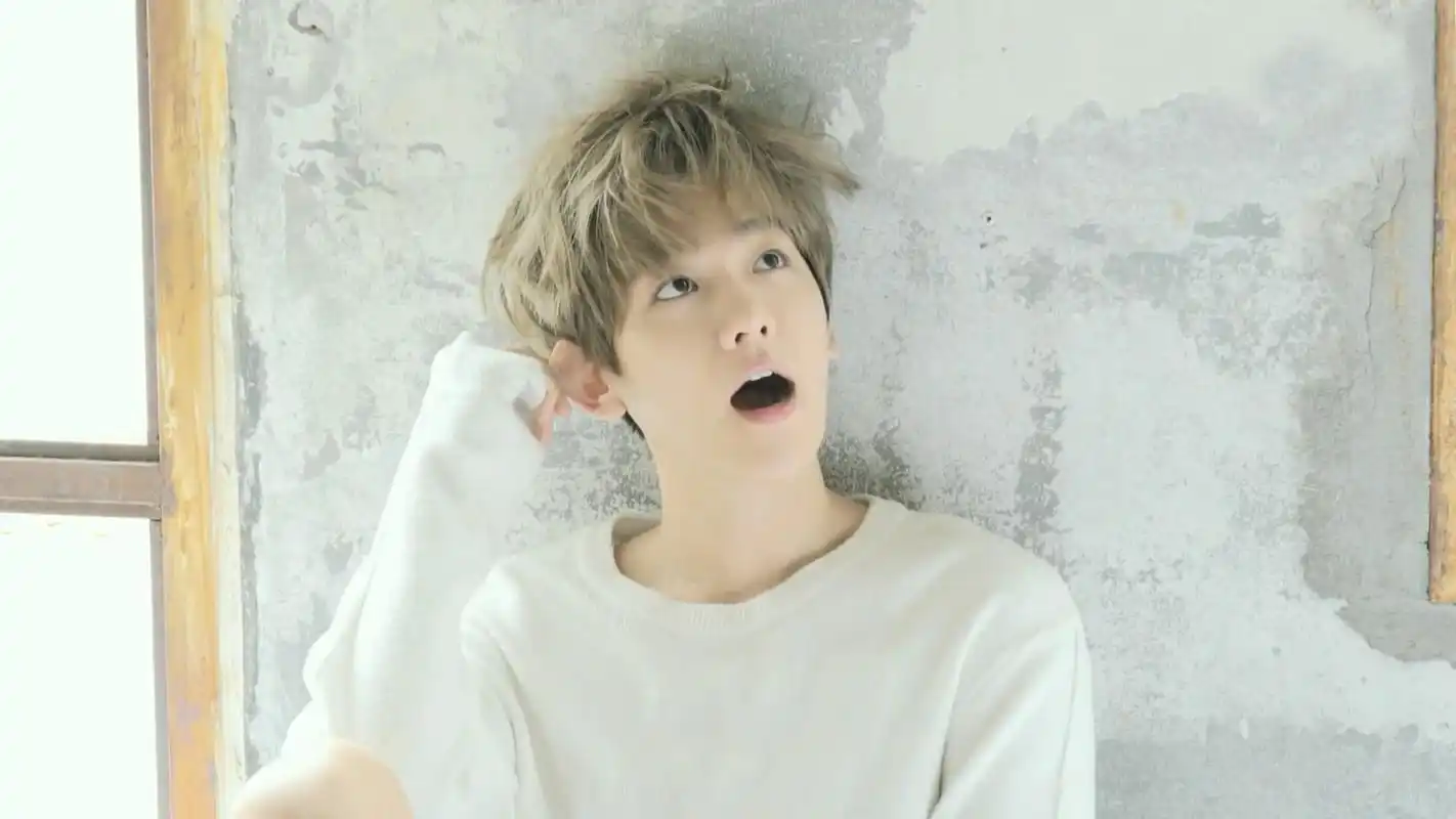 韩国超人气组合exo边伯贤帅气电脑桌面壁纸下载2