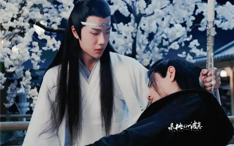 陈情令肖战王一博当刨丹真相大白时有人愧疚有人惋惜却只有蓝忘机才会