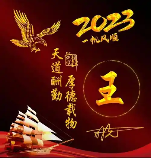 姓氏头像第9期,2023最新一帆风顺3d金属大气励志头像,有你的吗?