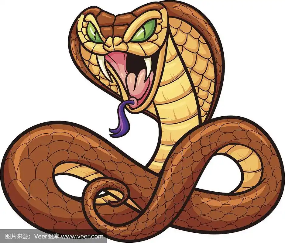 眼镜蛇,卡通,动物主题,卷着的,背景分离