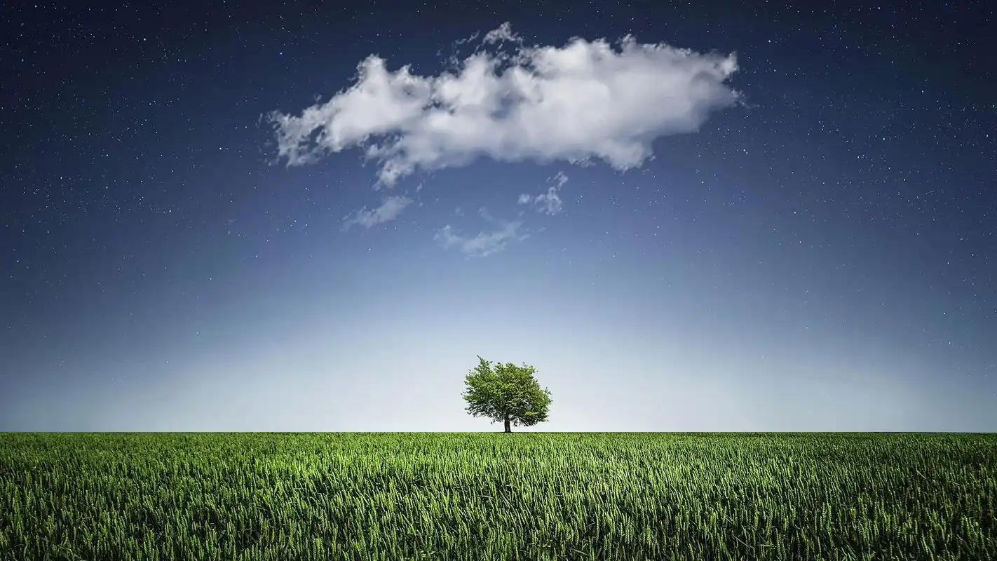 让人一看就心情舒畅的原野风光壁纸