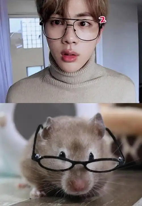 俗话说,有食能让鼠戴眼镜但只要你投喂他的话小鼠比较胆小,一看到陌生