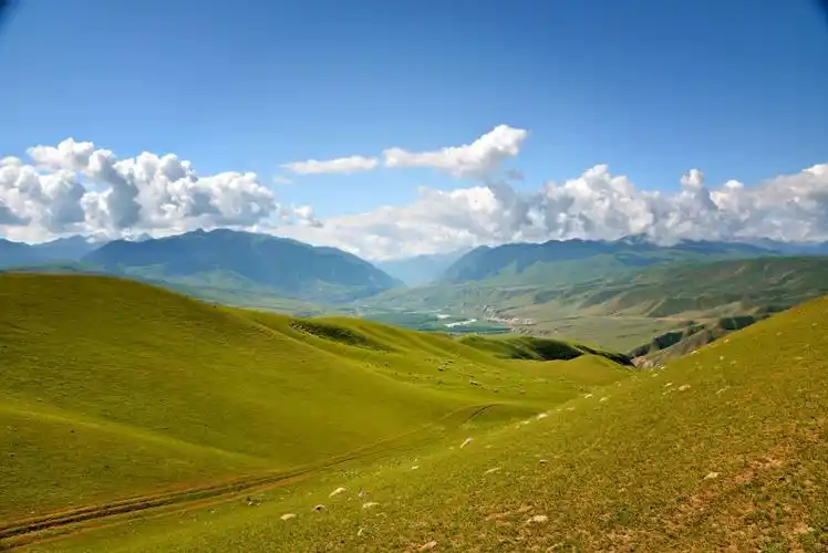 天山山地草甸草原最典型的代表,喀拉峻.