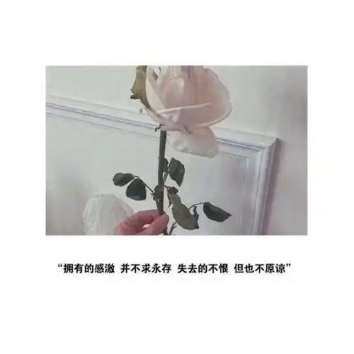 说说朋友圈配图.