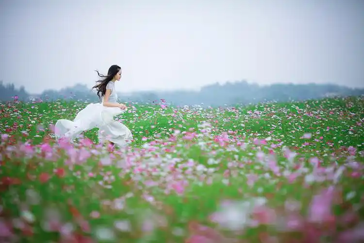 那一片花海-人物人像-光影中国网-36.01ny.cn - powered by discuz!